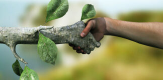 Nasıl bir dünyada yaşamak istiyoruz? Ekolojik yaklaşımların bize ne faydası var? – Görkem Göktaş