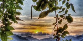 Sen Buralı Değilsin!