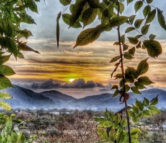 Sen Buralı Değilsin!