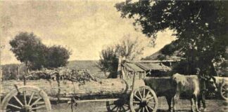 BEŞKAZA’NIN EKONOMİK VE MALİ DURUMLARI HAKKINDA RAPOR – Kamil Oral