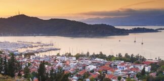 Mahalle üzerine düşünceler – Temmuz Korkmazgil