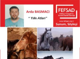 FEFSAD Sunum, Söyleşi – “Yılkı Atları” – Arda Basmacı