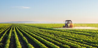 Ekoloji̇ Bi̇r Düşünce Si̇stemi̇di̇r – Görkem Göktaş sürdürülebilir ekolojik yaşam