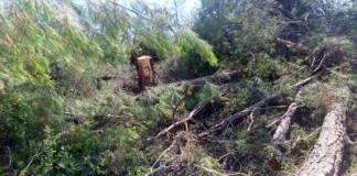 ZORTANA ANILARI 9 – MÜSTEAR EFSUNOĞLU