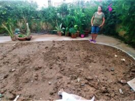 BİR HAVUZUN DOĞAL YAŞAM ALANINA DÖNÜŞÜMÜ – GÖRKEM GÖKTAŞ / YEŞİM DURSUN