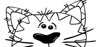 KEDİ MİLLETİ – BİSO / GÖKHAN KORKMAZGİL