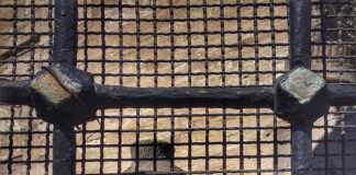 OKURYAZAR GÜNCESİ: AHMET ALTAN – YALNIZLIĞIN ÖZEL TARİHİ / GÖKHAN KORKMAZGİL