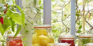 BİR KAVANOZ ÖYKÜSÜ – NACİ DİNÇER