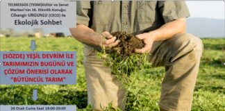 Telmessos Kültür ve Sanat Merkezi – Ekolojik Sohbetler Cihangir Urgunlu