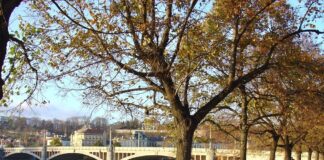 NELER ÇEKTİM NELER – ÇEK CUMHURİYETİ / HÜZÜN KENTİ PRAG – METİN DENİZMEN