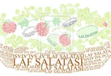 GERÇEKMİŞ GİBİ KURMACA ÖYKÜLER 2 – LAF SALATASI – MÜSTEAR EFSUNOĞLU