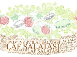 GERÇEKMİŞ GİBİ KURMACA ÖYKÜLER 2 – LAF SALATASI – MÜSTEAR EFSUNOĞLU