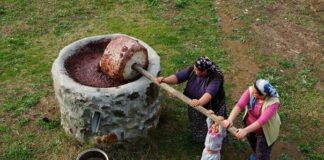 ZEYTİN ZAMANI – ZEYTİN VE LİKYA / GÖKHAN KORKMAZGİL