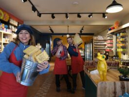 ÇARŞI CADDESİ’NDE BİR ARDIÇ! – GÖKHAN KORKMAZGİL