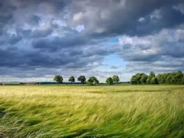 RÜZGÂRIN ARDINDAN – EBRU’NUN HİKAYESİ – KORHAN KÜLÇE
