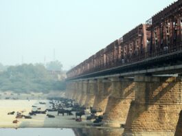 HİNDİSTAN NOTLARI 12 – YAMUNA NEHRİ – GÖKHAN KORKMAZGİL