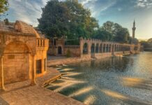 ANADOLU MÜHÜRLERİ GEZİSİ 9. GÜN – URFA – HALEPLİBAHÇE MOZAİK MÜZESİ – METİN DENİZMEN